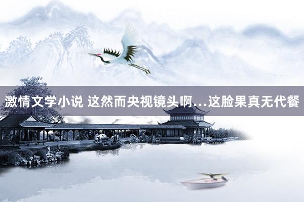 激情文学小说 这然而央视镜头啊…这脸果真无代餐