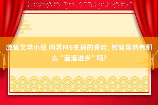 激情文学小说 问界M9车祸的背后， 智驾果然有那么“遥遥进步”吗?