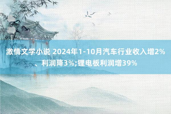 激情文学小说 2024年1-10月汽车行业收入增2%、利润降3%;锂电板利润增39%