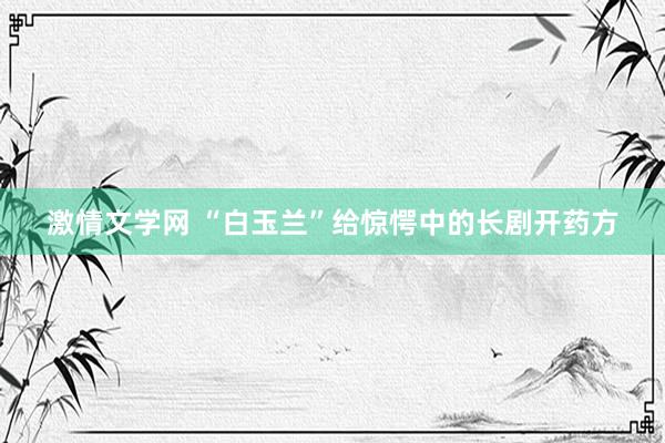 激情文学网 “白玉兰”给惊愕中的长剧开药方